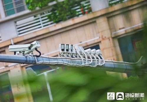 濟寧12月25日啟用15處電子監控設備，助力交通安全管理