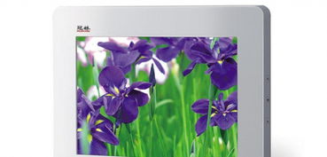 智能化安防與網(wǎng)絡(luò)工程的綜合構(gòu)建 從監(jiān)控施工到光纖熔接的全流程解析